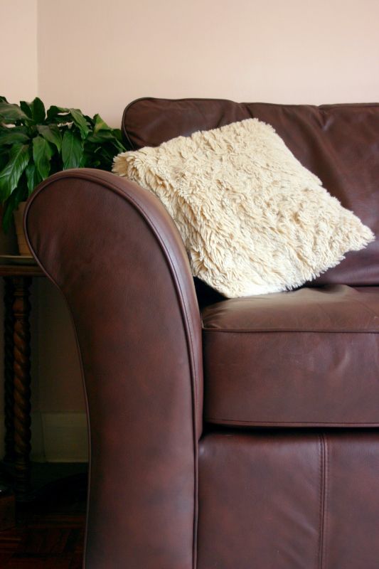 Leather Couch Repair