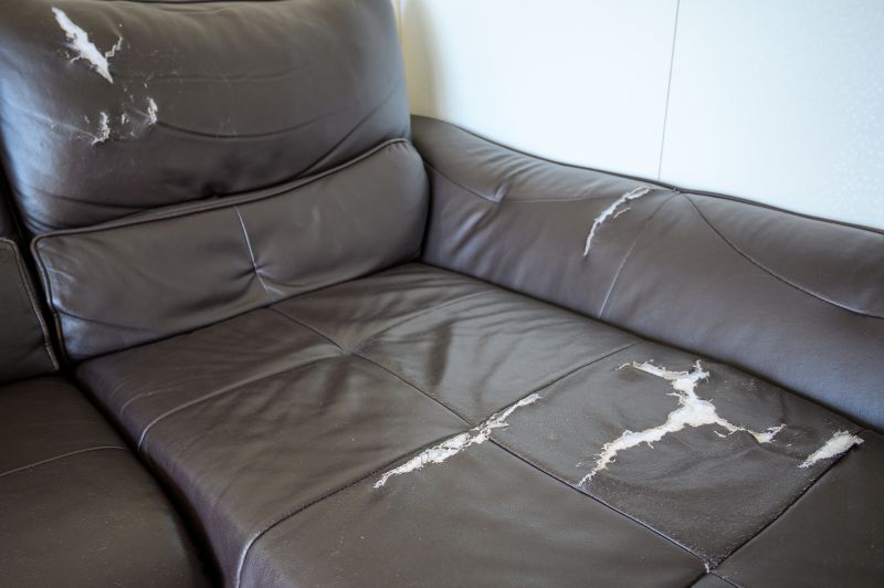 Leather Couch Repair